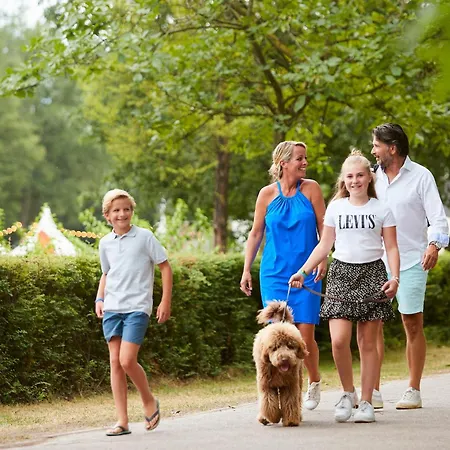 Holiday home Forest Cube 2 Persons #705 2 Persoons Maasbree